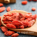 AD secado bayas de goji rojas wolfberries fruta